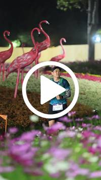 BIB:  <button type="button" onclick="openModal(27589926)" class="btn btn-primary btn-sm float-right" data-toggle="modal" data-target=".modal-high-quality">
                <i class="fa fa-download"></i> Download
                </button>